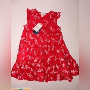 NWT Pumpkin Patch size 3 bird dress